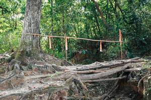 BIB: 
                            <button type="button" onclick="openModal(27802281)" class="btn btn-primary btn-sm float-right btn-popup" data-toggle="modal" data-target=".modal-high-quality">
                        <i class="fas fa-shopping-cart"></i> Add to Cart
                    </button>
                                            <button type="button" onclick="isThisMe(27802281, true)" class="btn btn-success btn-sm float-right btn-popup btn-isme hidden" data-toggle="tooltip" data-placement="bottom" title="นี่คือรูปของคุณใช่ไหม คลิกที่นี่เพื่อเอาเข้าอัลบั้ม">
                        <i class="fas fa-plus"></i> Add to album
                    </button>
                    <button type="button" onclick="isThisMe(27802281, false)" class="btn btn-warning btn-sm float-right btn-popup btn-isnotme hidden">
                        <i class="fas fa-ban"></i> Remove from album
                    </button>